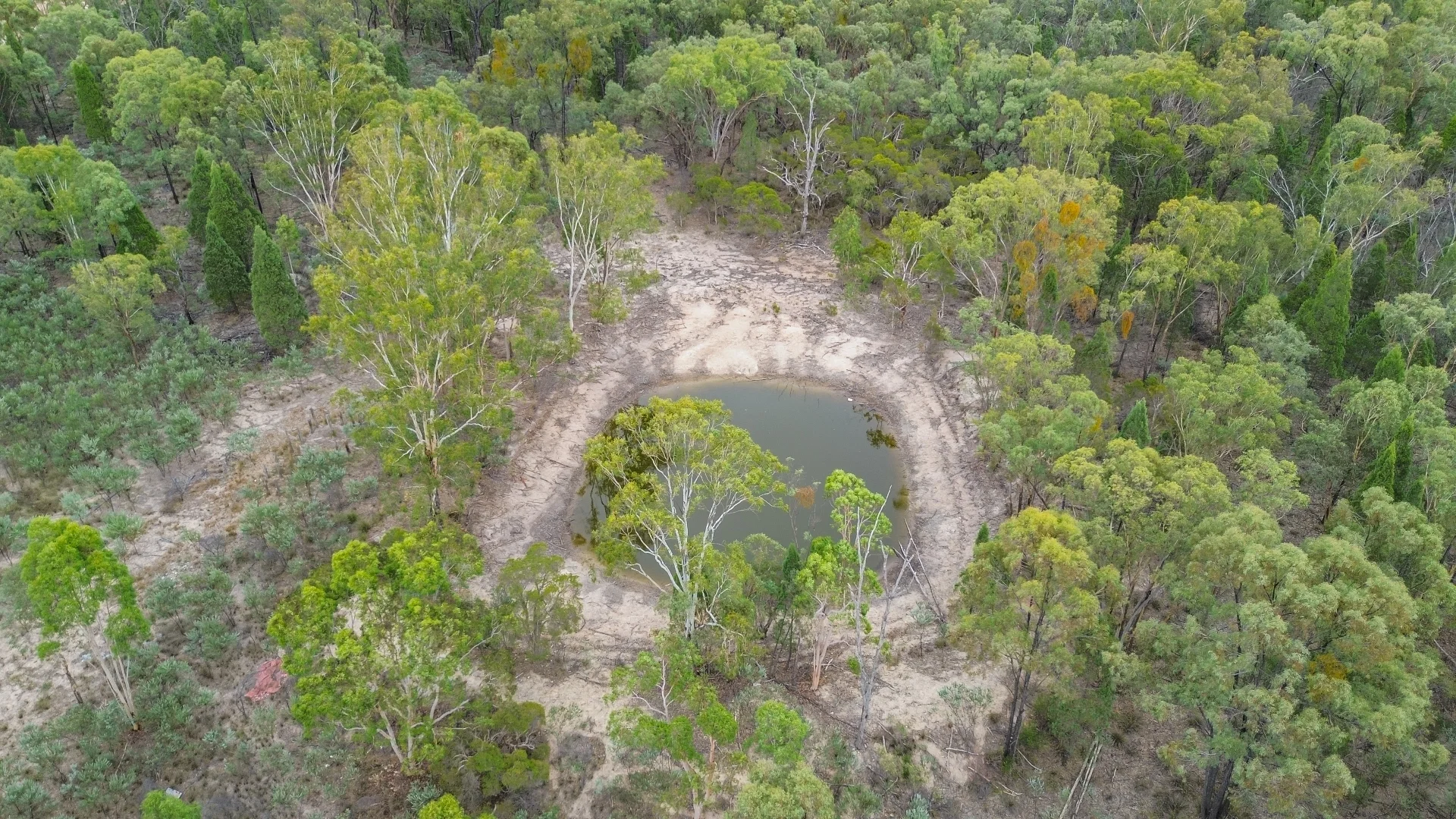 Additional image 9 of 106 Biggs Road, Oman Ama QLD 4352