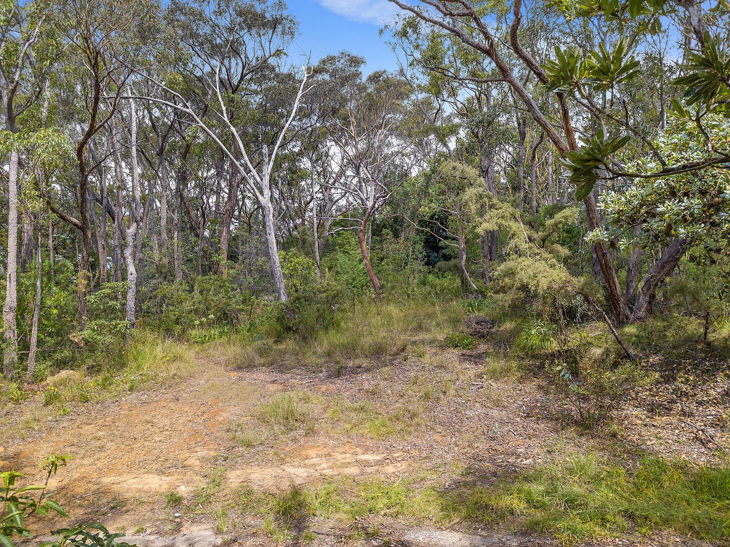 23 Lurline Street, Wentworth Falls NSW 2782, Image 2