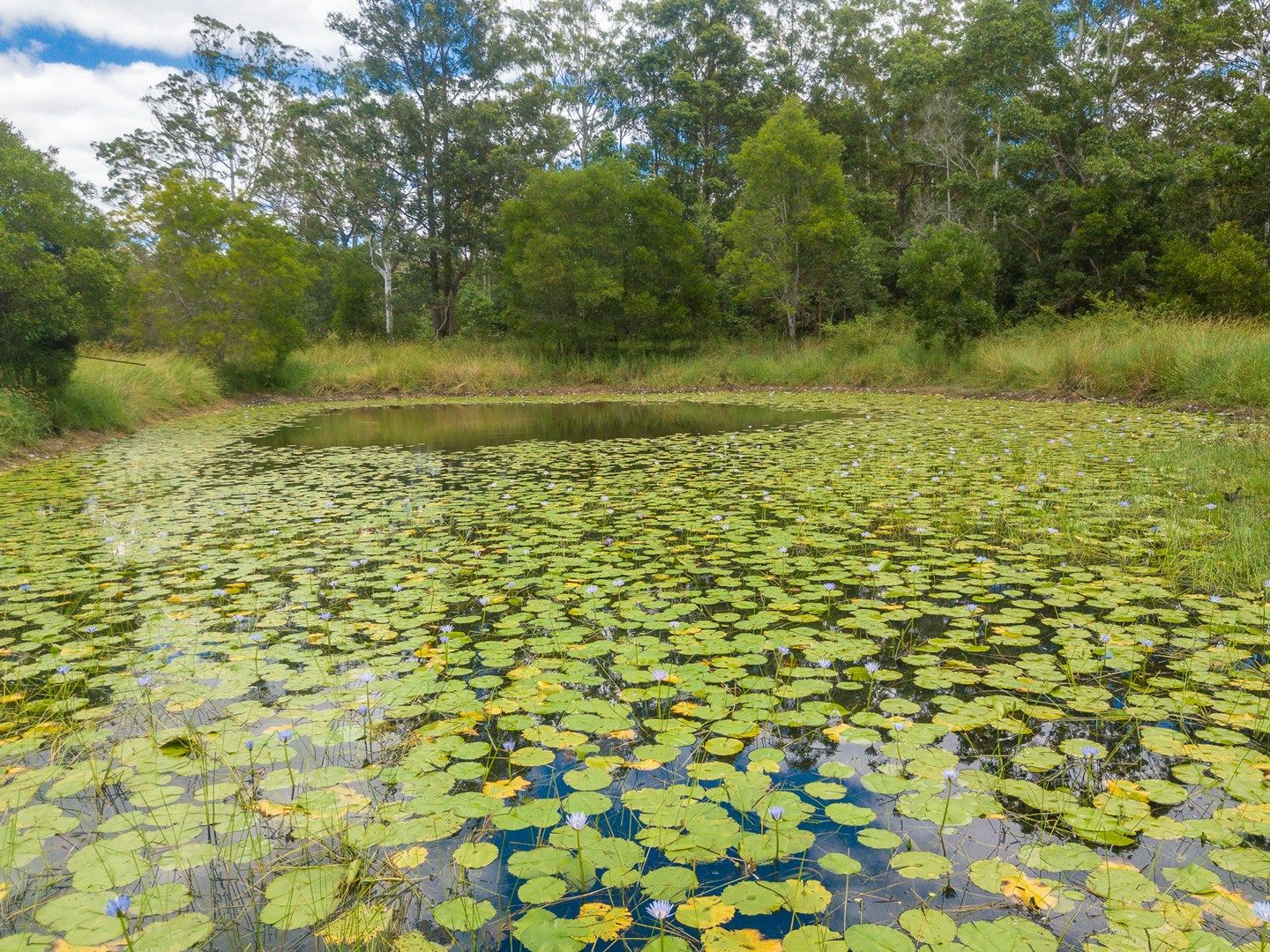 125 Gardner Road, North Deep Creek QLD 4570, Image 1