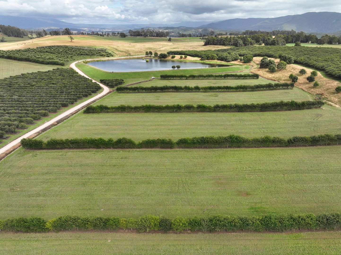 110 Trickett Road, Deloraine TAS 7304, Image 1