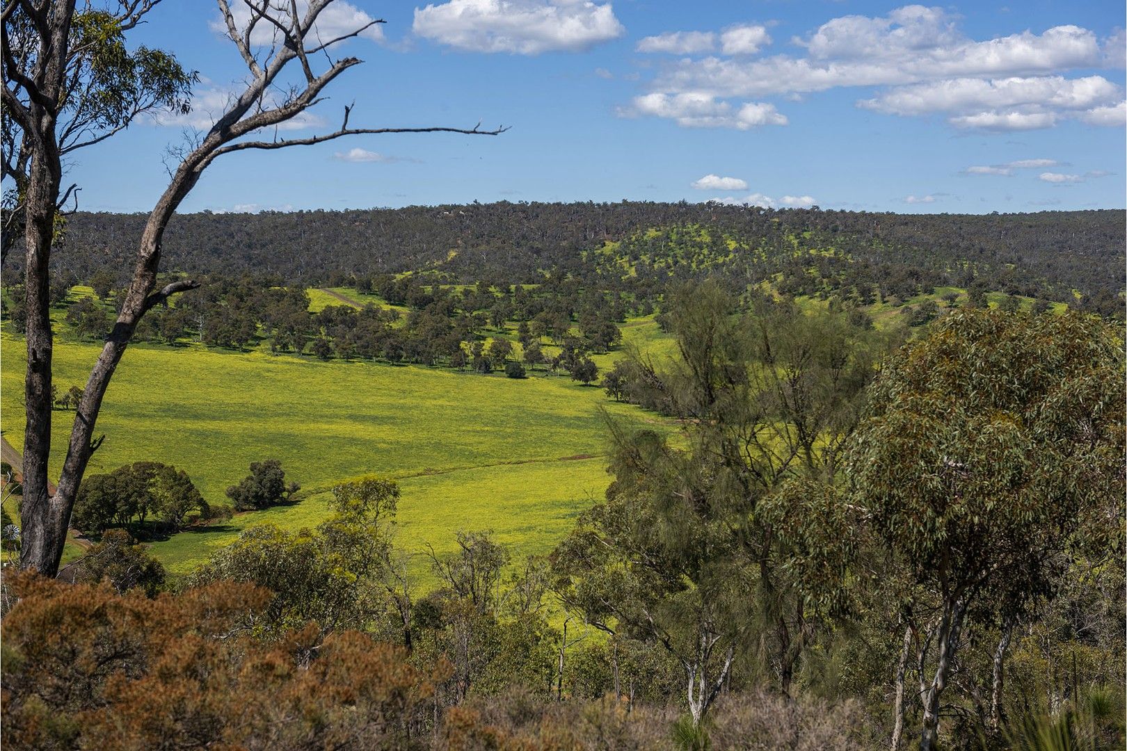 545 Chittering Valley Road, Lower Chittering WA 6084, Image 0