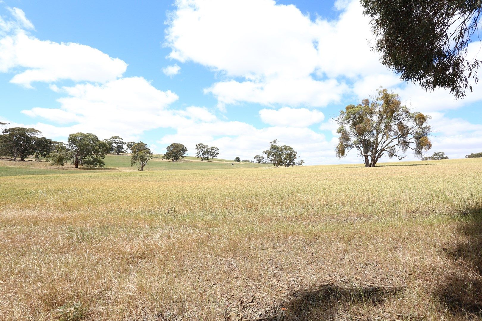 Lot 5 Koorama Road, Clare SA 5453, Image 0