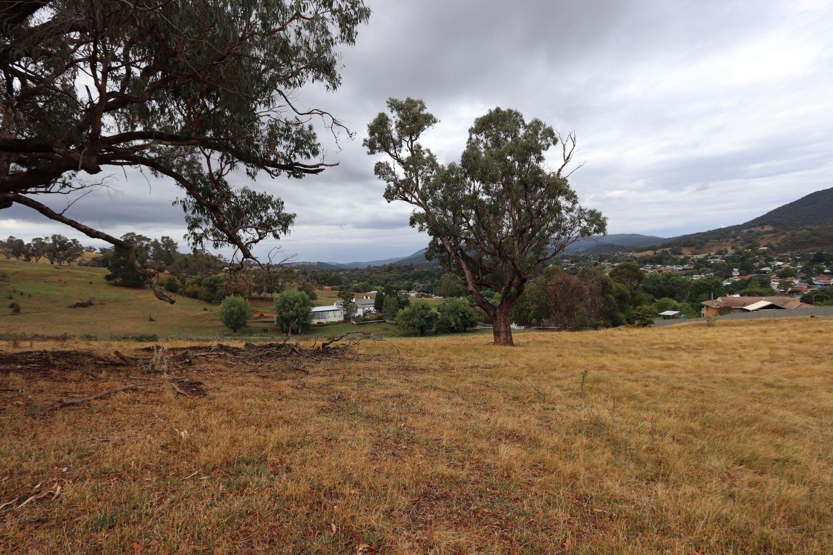 1 Wongal Street, Tumbarumba NSW 2653, Image 1