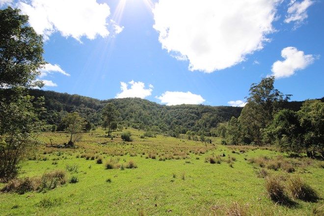 Picture of Lot 133 Forbes River Road, BIRDWOOD NSW 2446