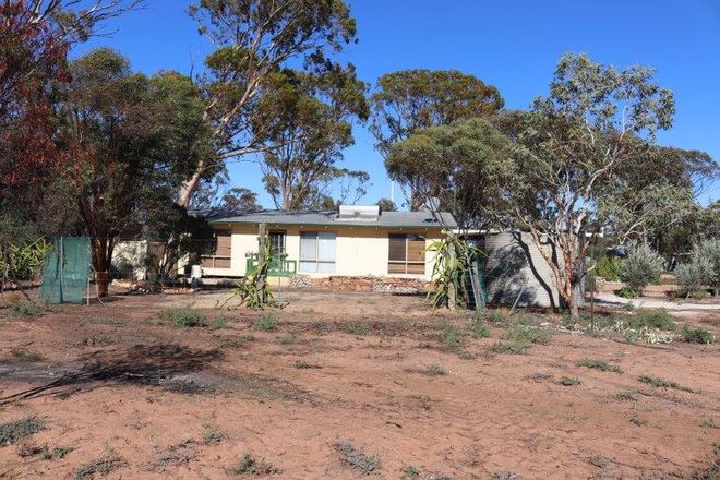 Picture of 3 Pryre Street, COOMBERDALE WA 6512