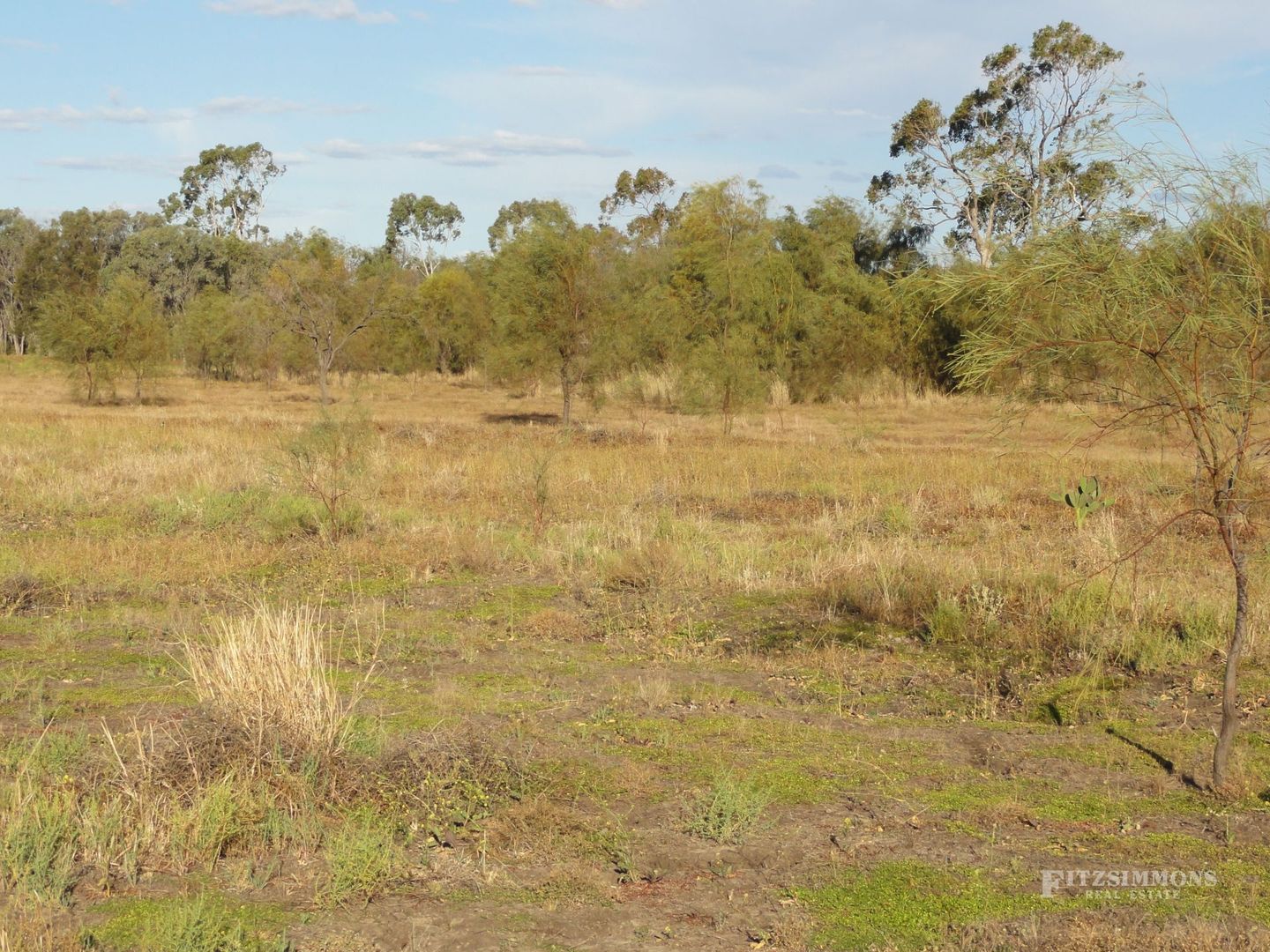 Lot 81 - 82 Armstrong Street, Dalby QLD 4405, Image 1