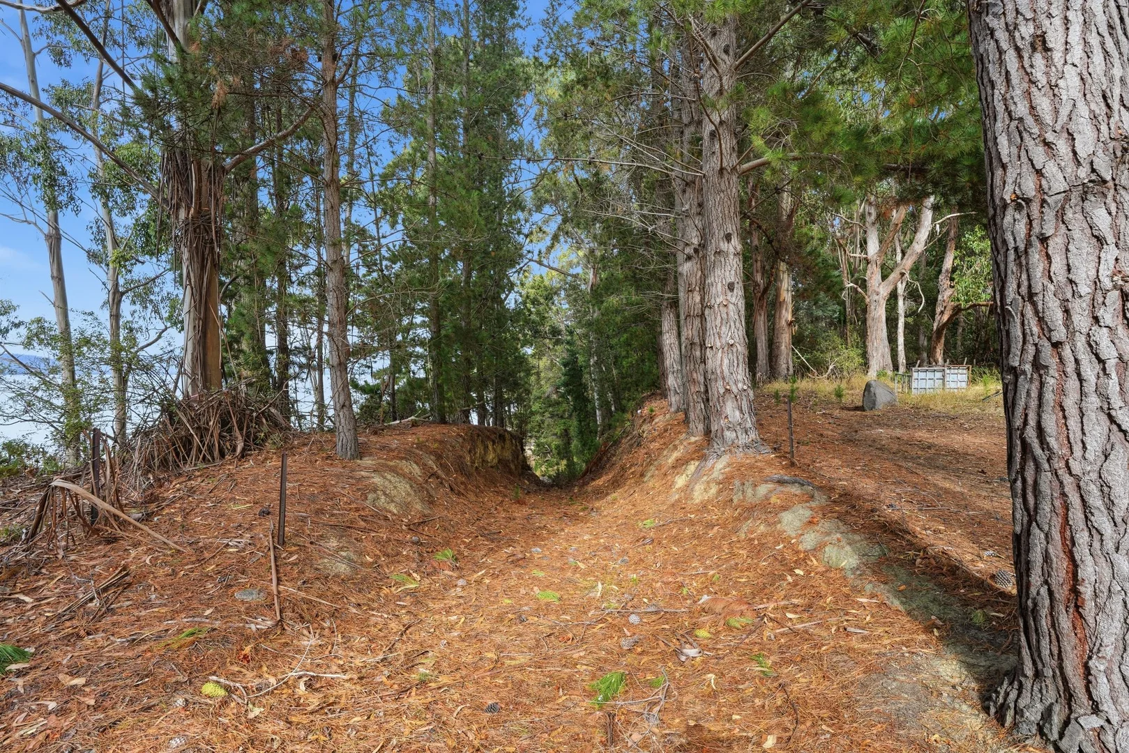 Additional image 11 of 4645 Channel Highway, Gordon TAS 7150