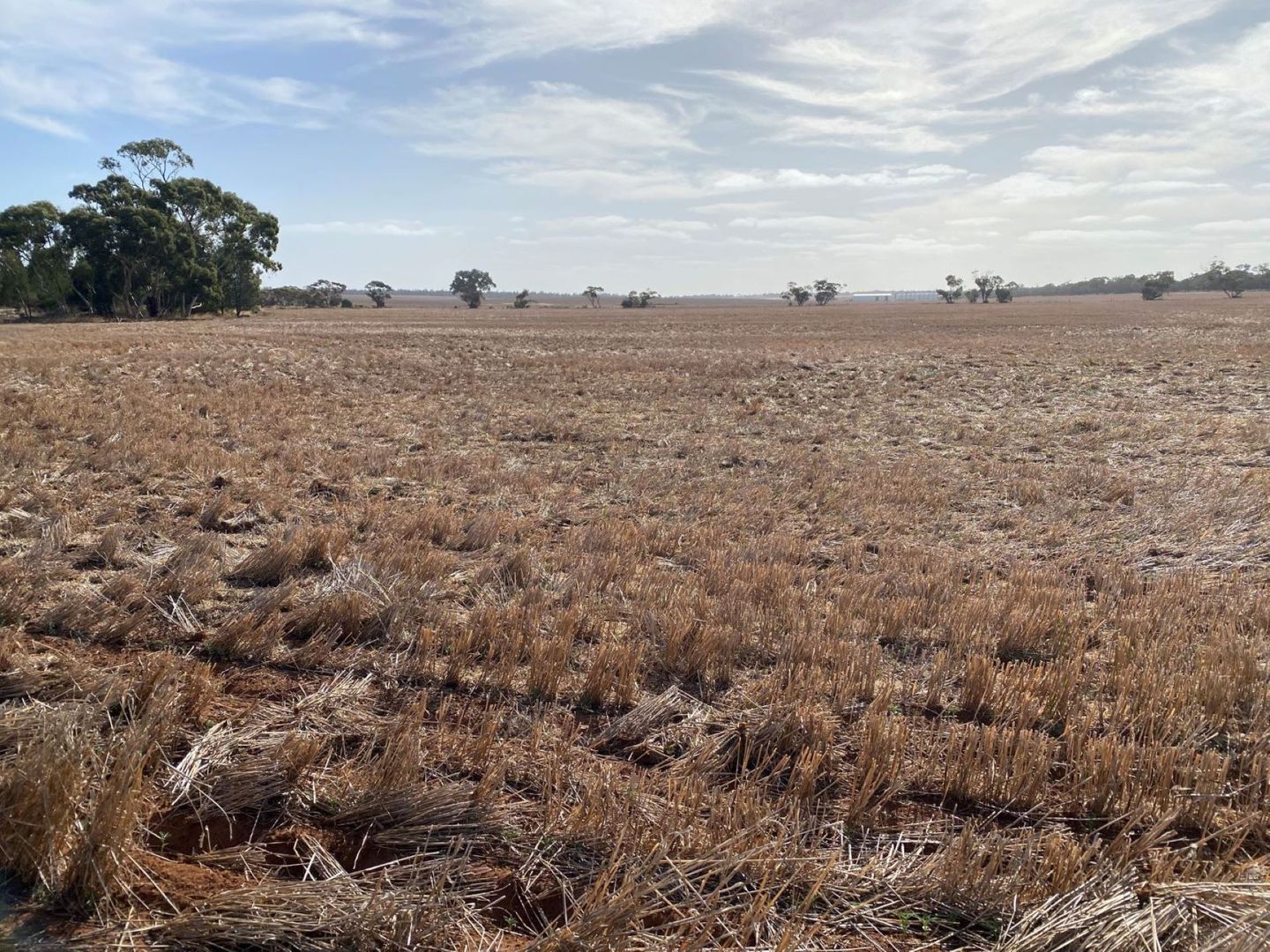 Dimboola-Rainbow Road, Jeparit VIC 3423, Image 1