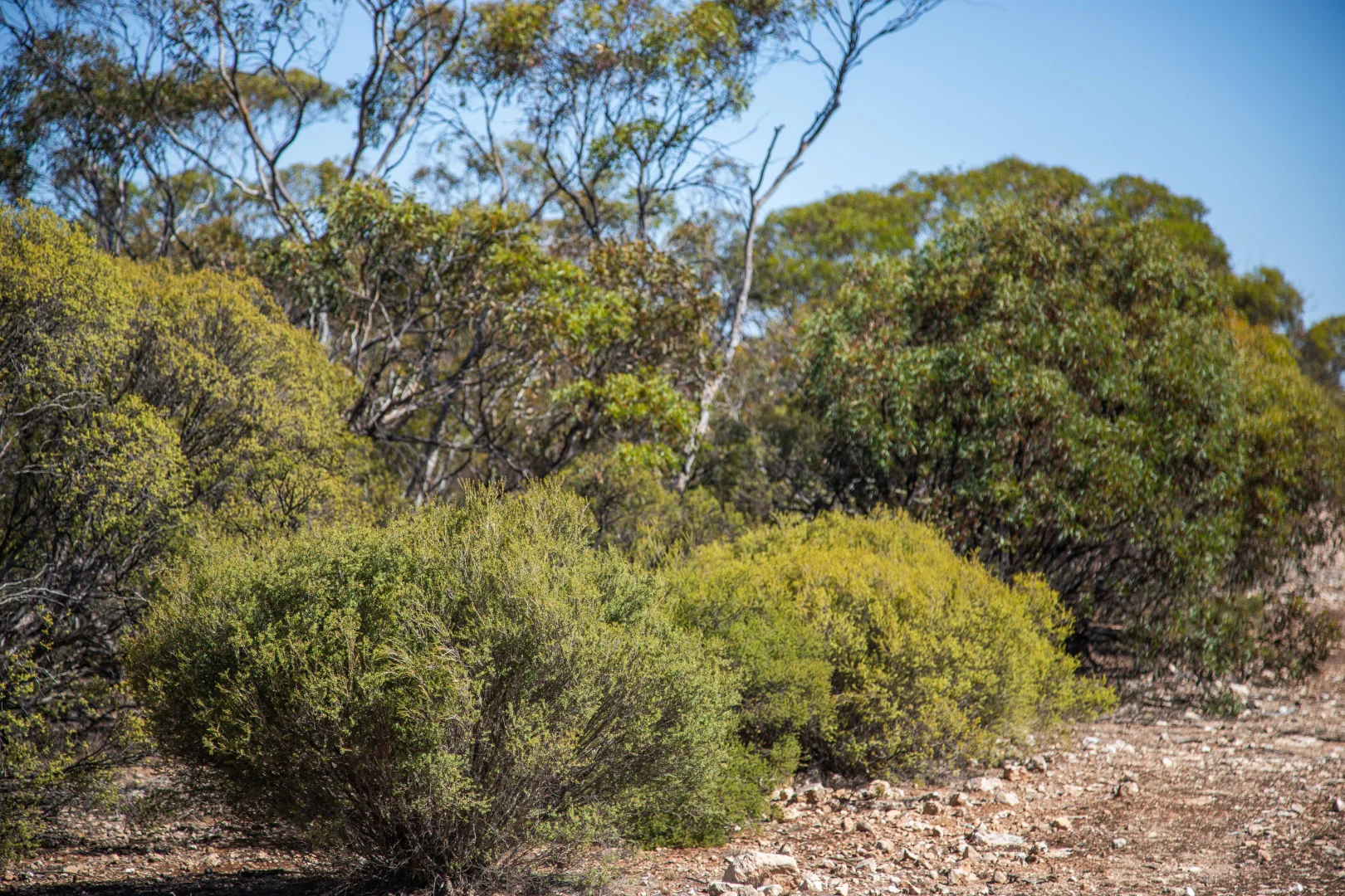 Image 10