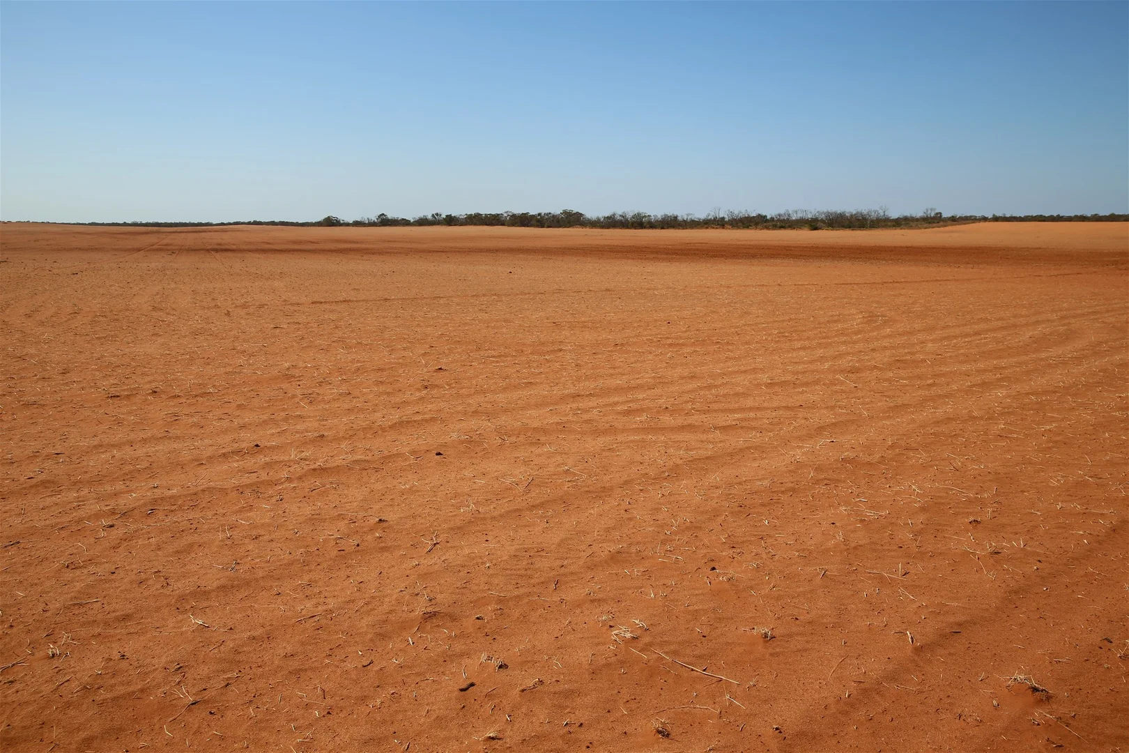 Image 16
