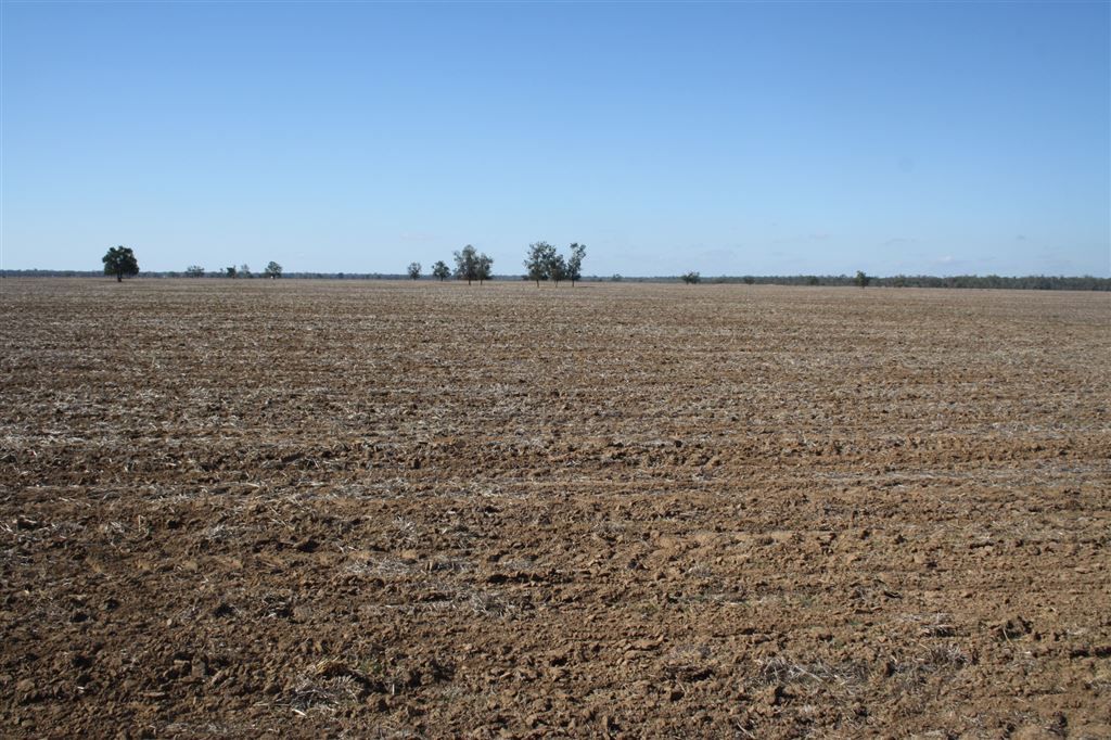 'Yarran' Pilliga Road, Coonamble NSW 2829, Image 0