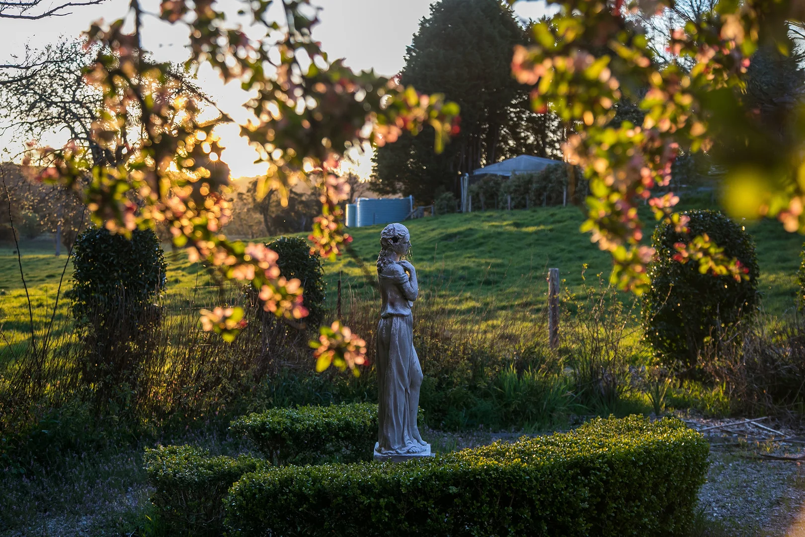 Image 28