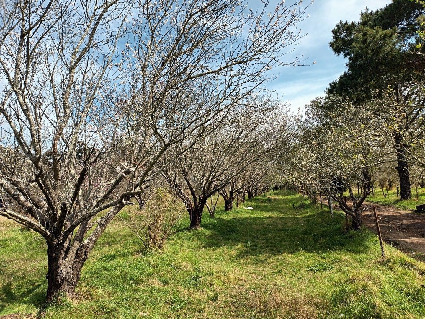 Acreage / Semi-Rural in , GILEAD NSW, 2560