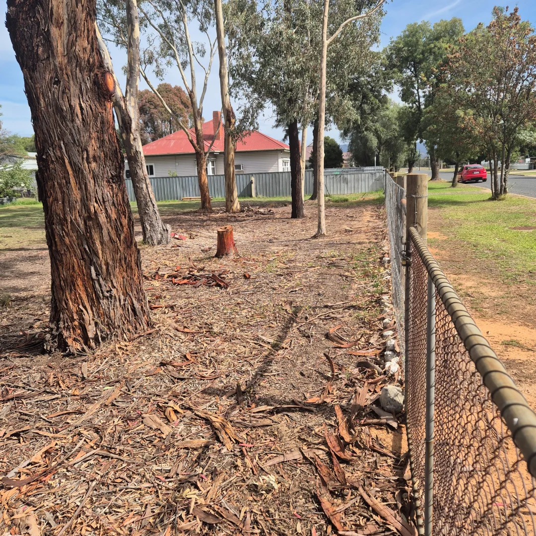 Additional image 2 of 20 Astbury Street, Avoca VIC 3467