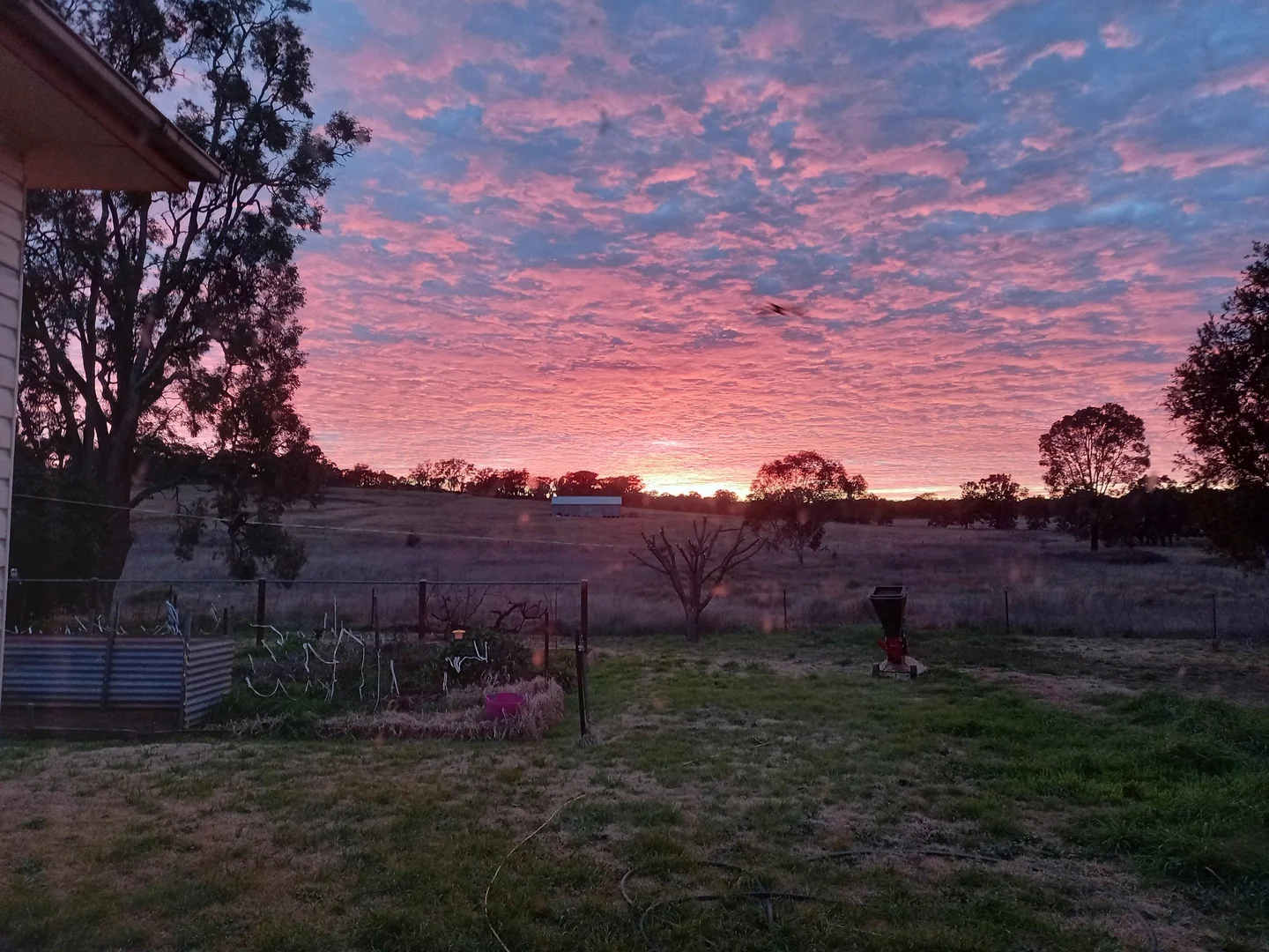 Image 15