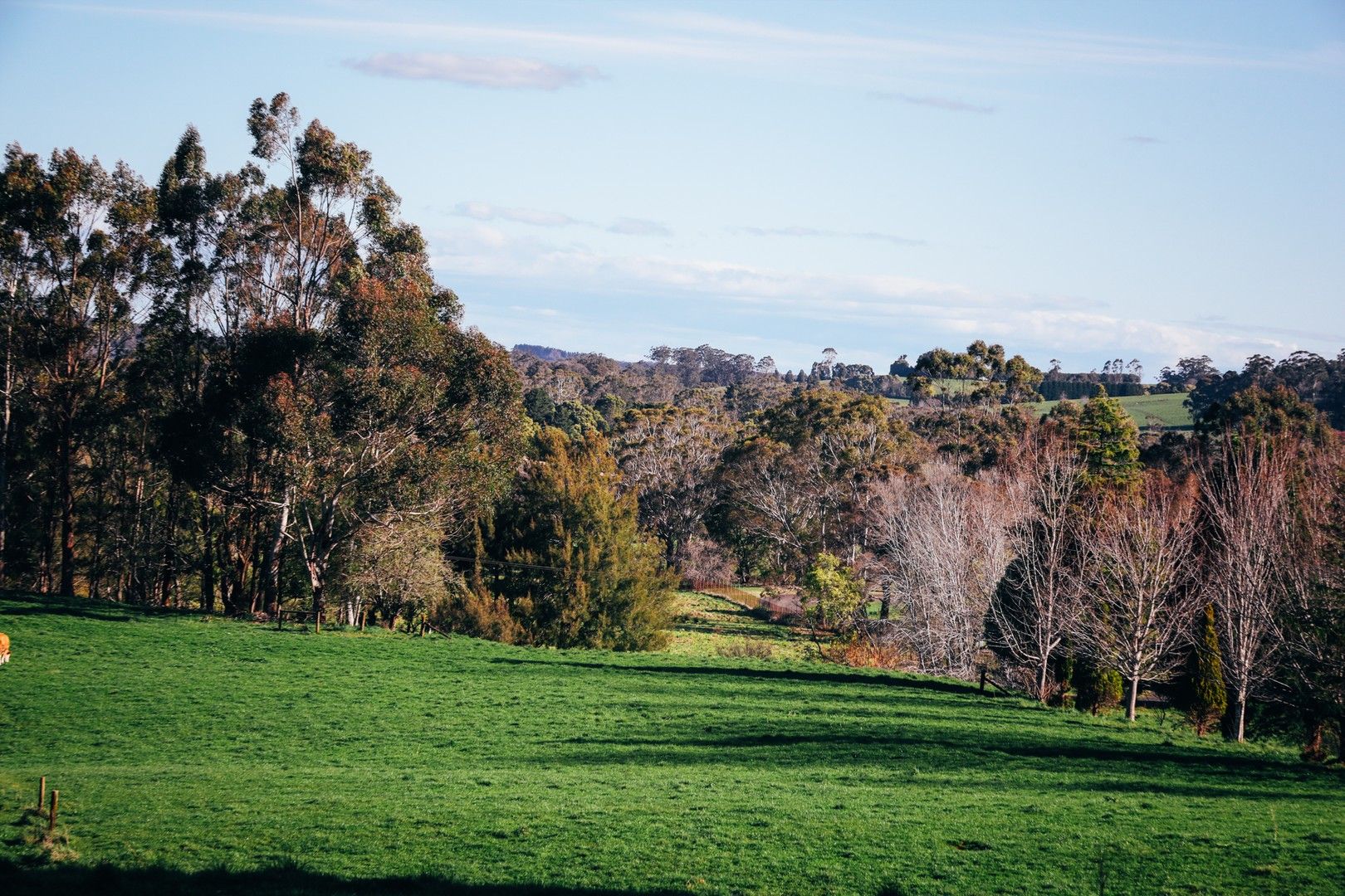 Lot 2/265 Wildes Meadow Road, Wildes Meadow NSW 2577, Image 0