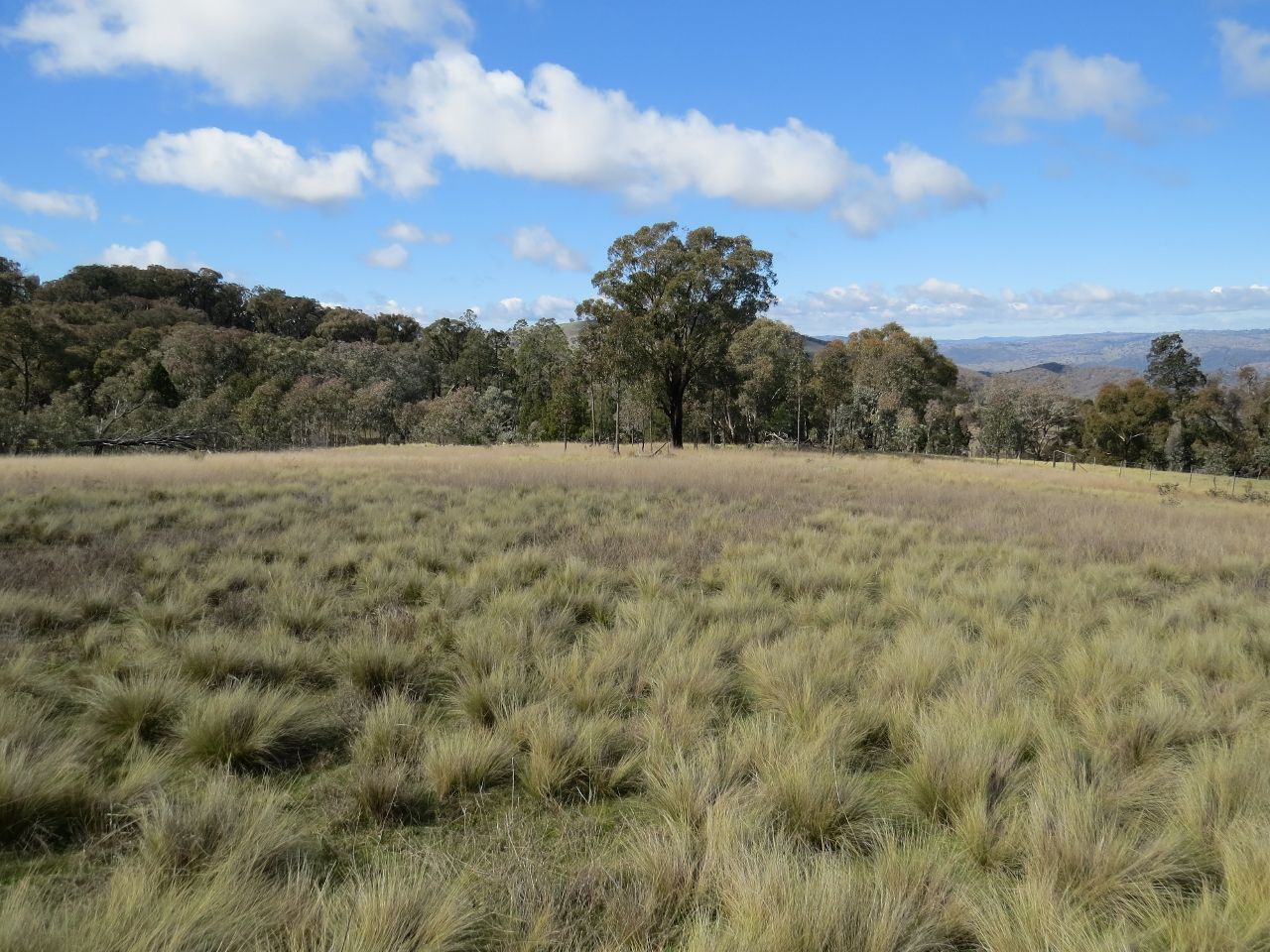 Lot 104 Clements Road, Woodstock NSW 2793, Image 2