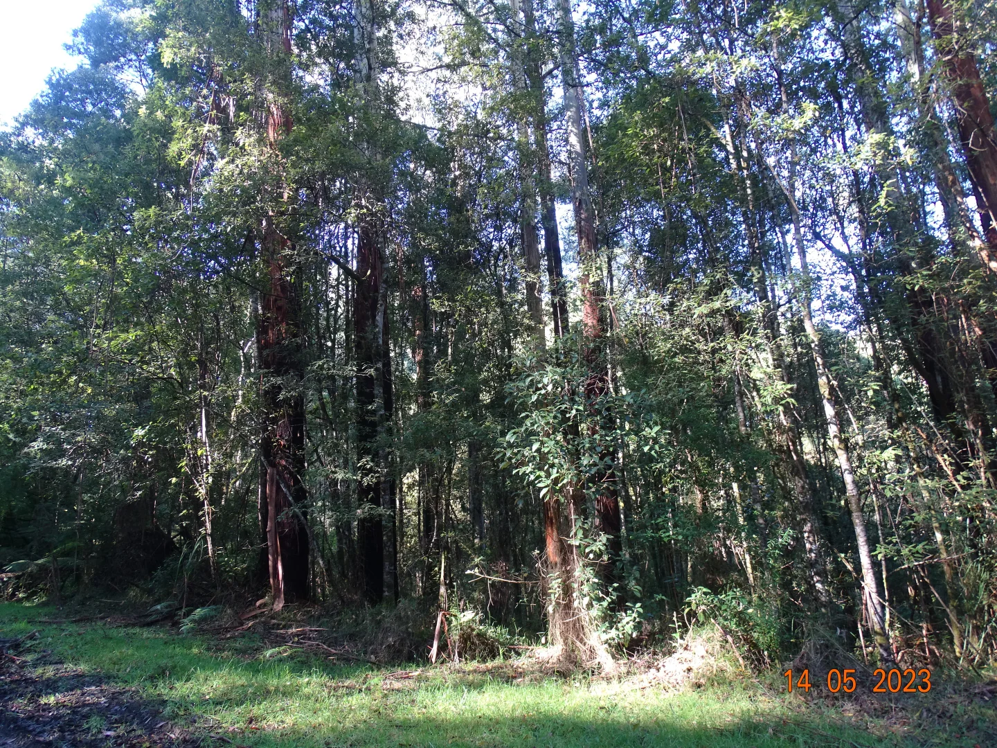 Image 9