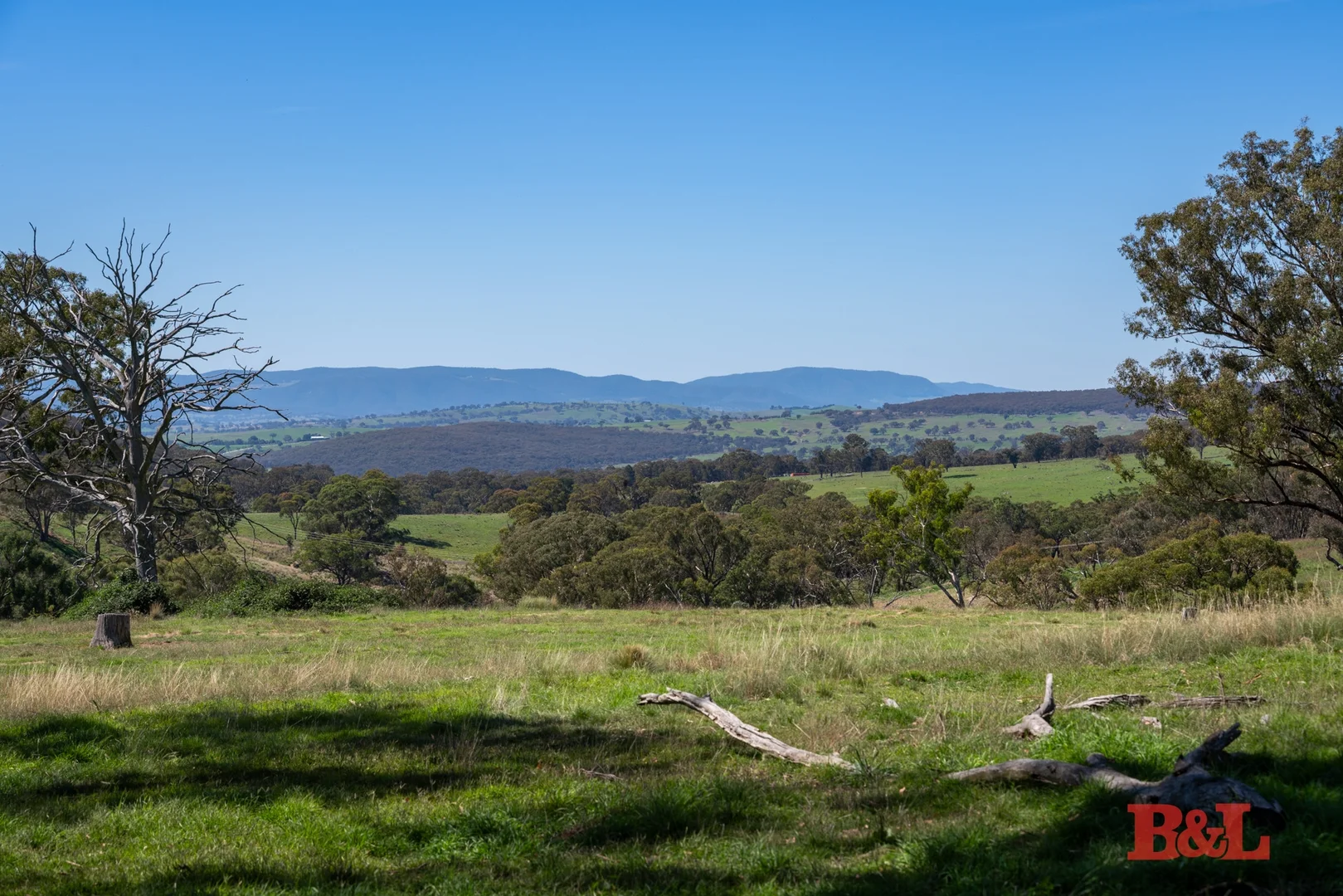 Image 10