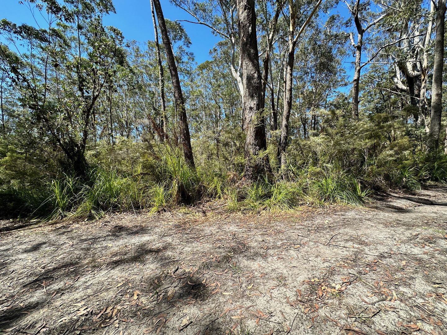 Lot 13 Sunnyside Avenue, Woollamia NSW 2540, Image 2