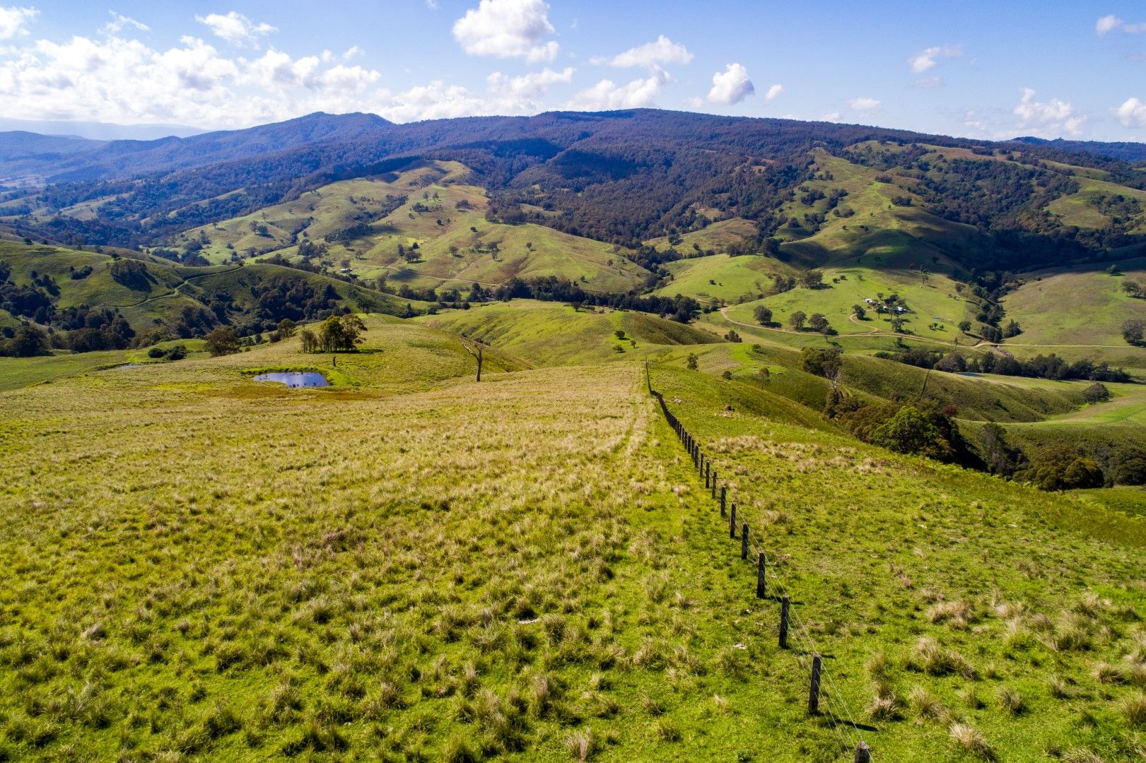 3658 Paterson River Road, Carrabolla NSW 2311, Image 2