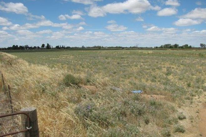 Picture of Lot 151, Farm 406 Saunderson Road, LEETON NSW 2705