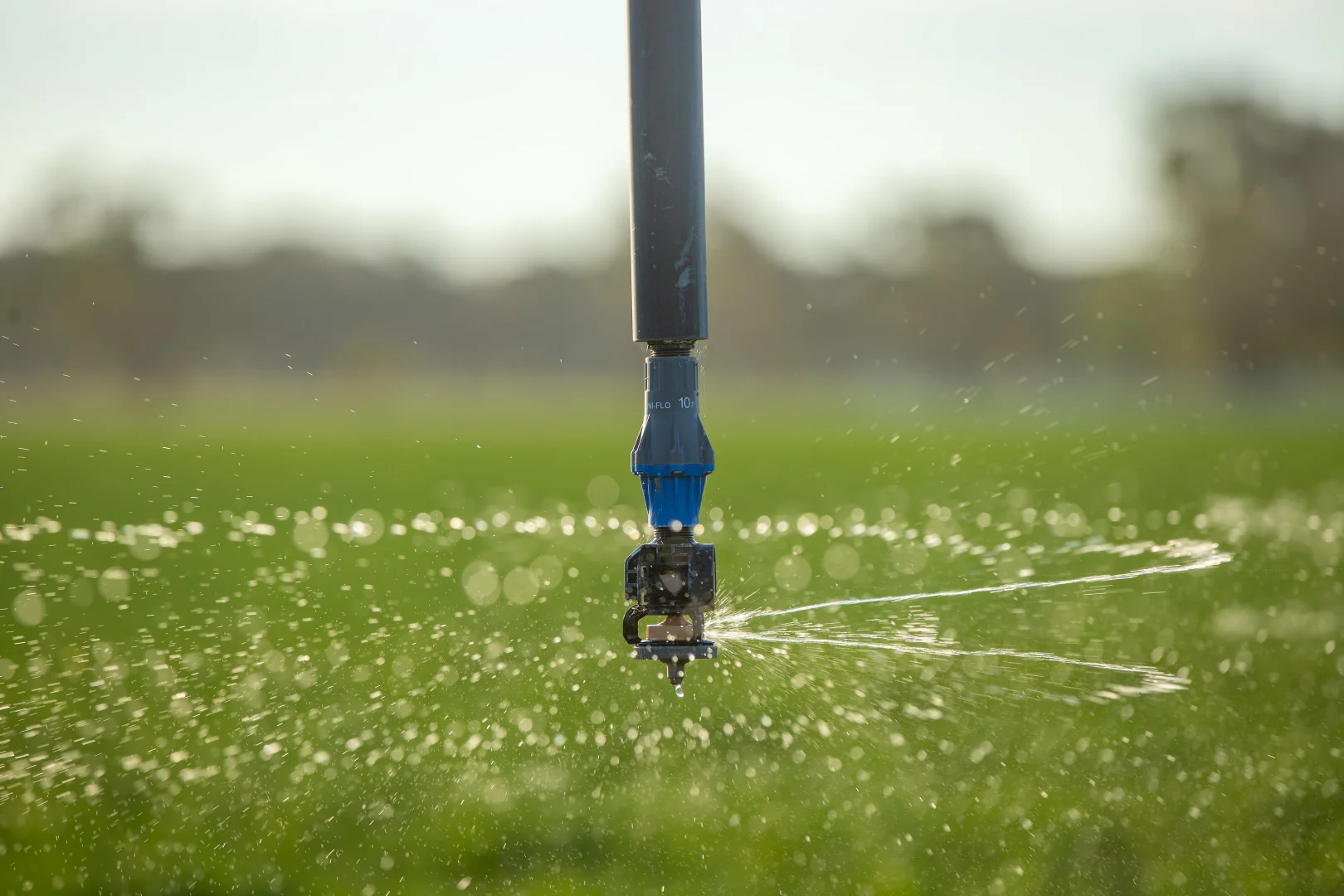 Additional image 20 of 1948 Coach Road, Morven NSW 2660