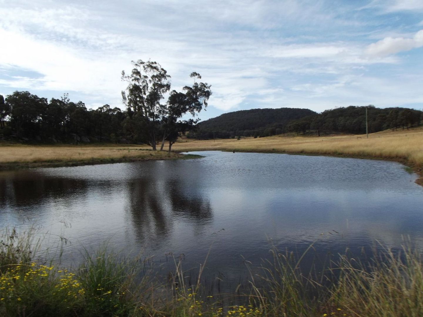 Sandy Hollow NSW 2333 House for Sale 1250000 Domain