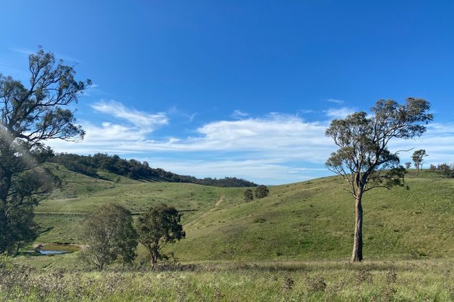 Picture of Lot 44 via Hanworth Road, Bannaby via Taralga, BANNABY NSW 2580