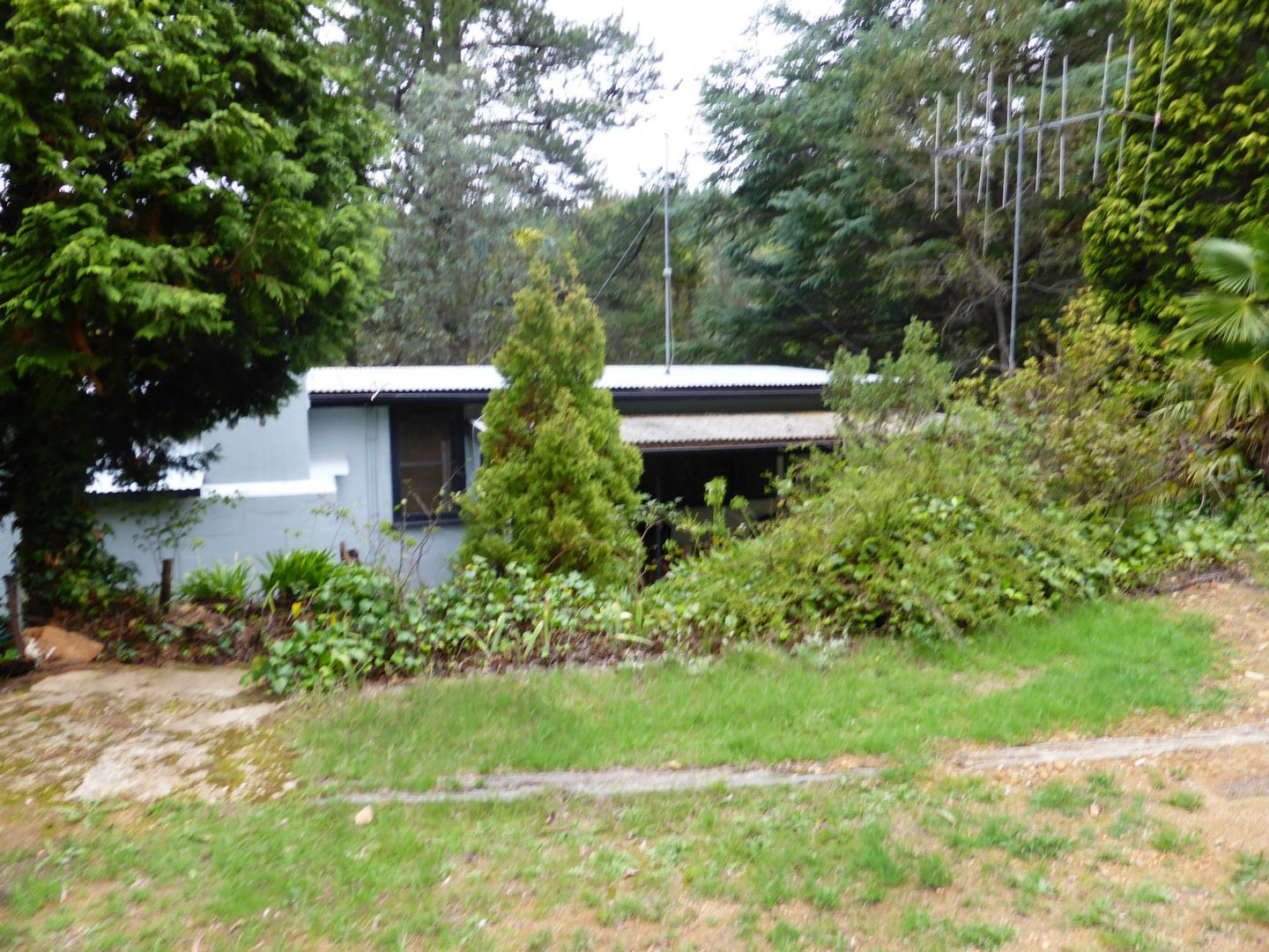 54 Austral Street, Sunny Corner Property History & Address Research