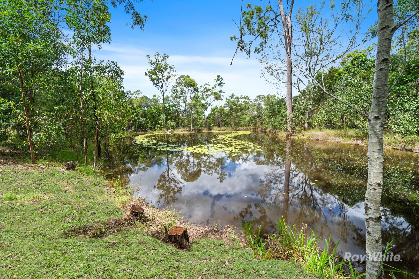 2-14 Wandearah Road, Logan Village QLD 4207, Image 2