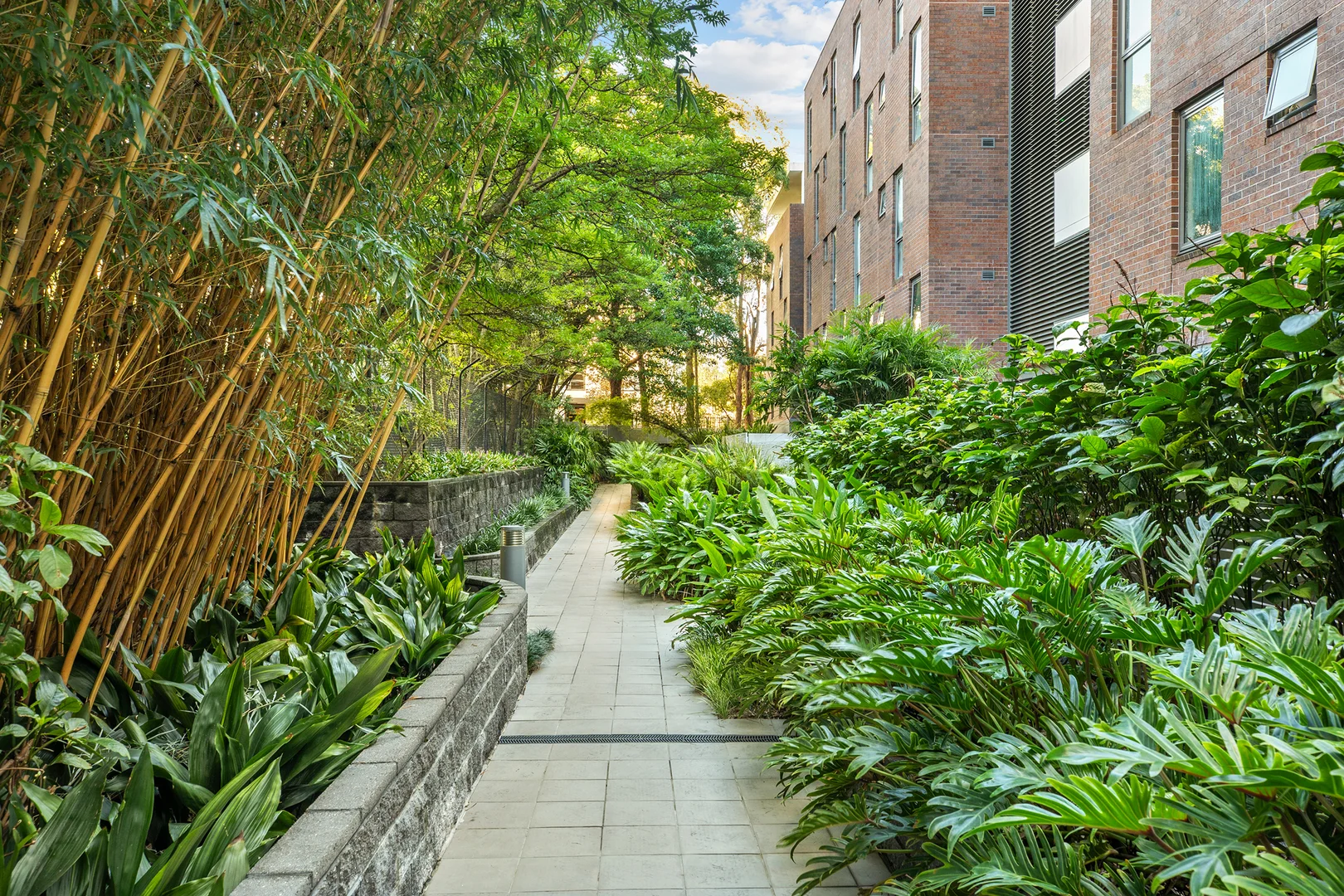 Additional image 8 of 27/2 Coulson Street, Erskineville NSW 2043