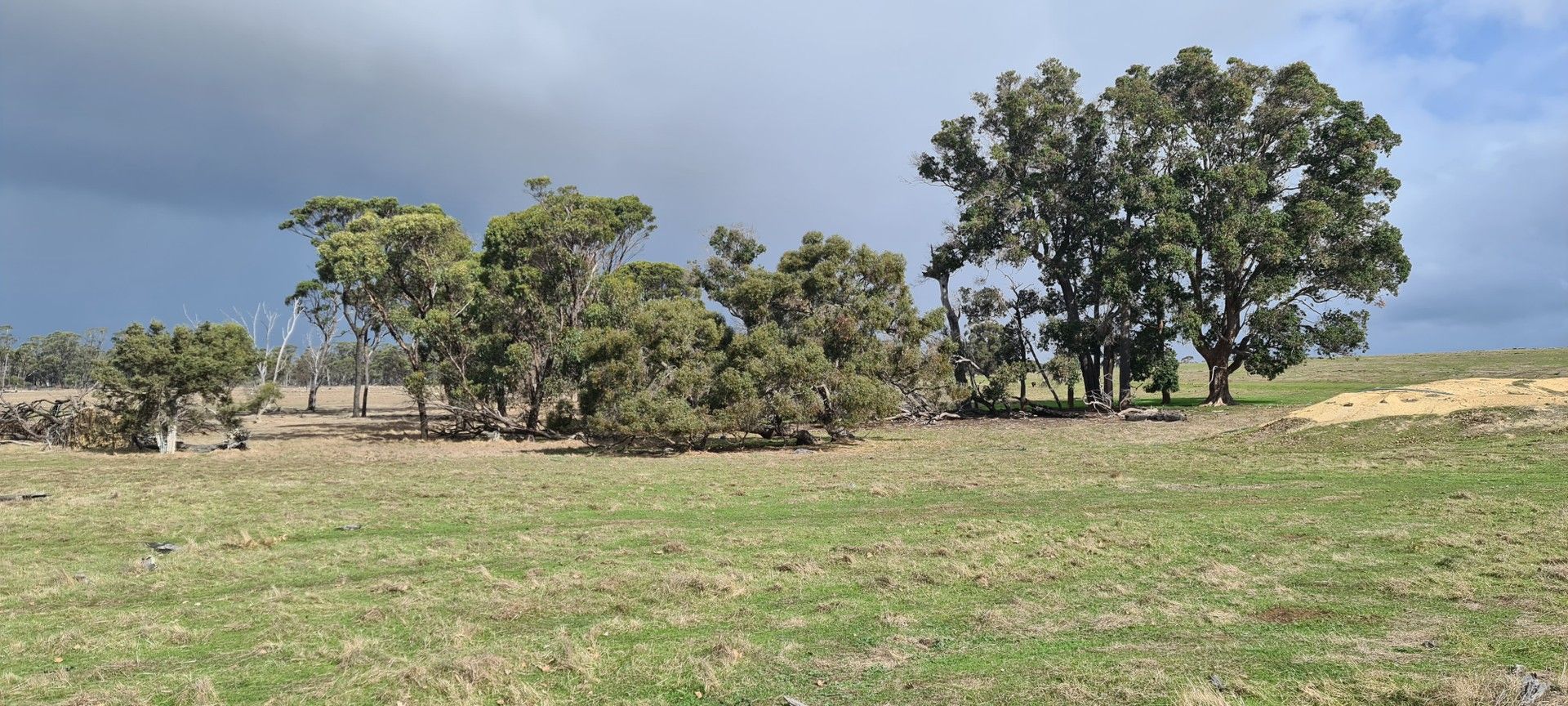 Lot 1204 Gills Road, Kendenup WA 6323 Specialist Farm for Sale