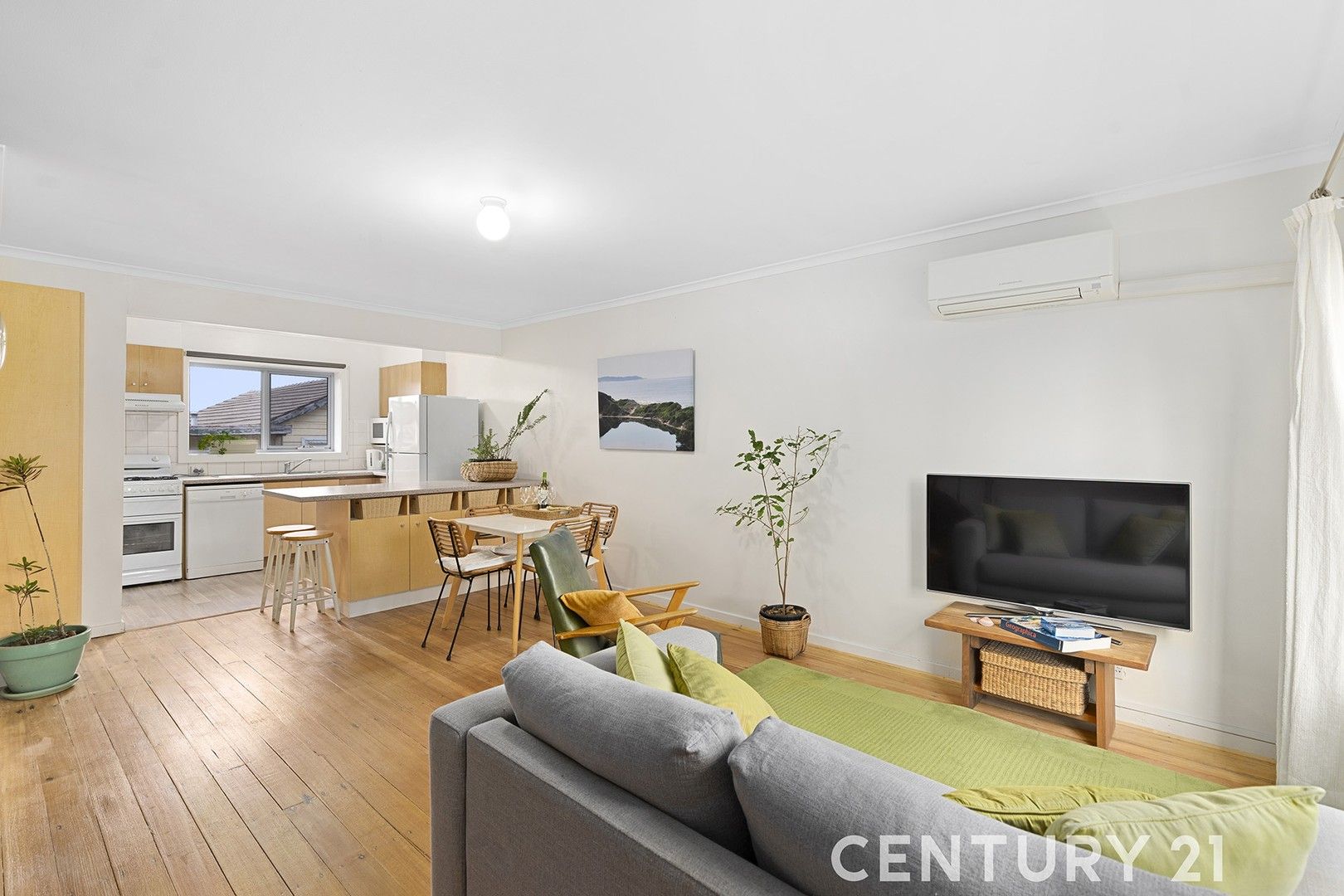 3/1 Iona Street, Clayton VIC 3168 Domain