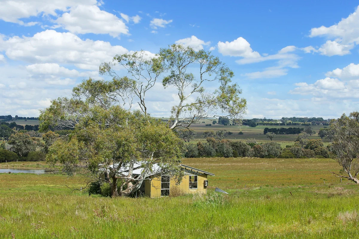 Image 15