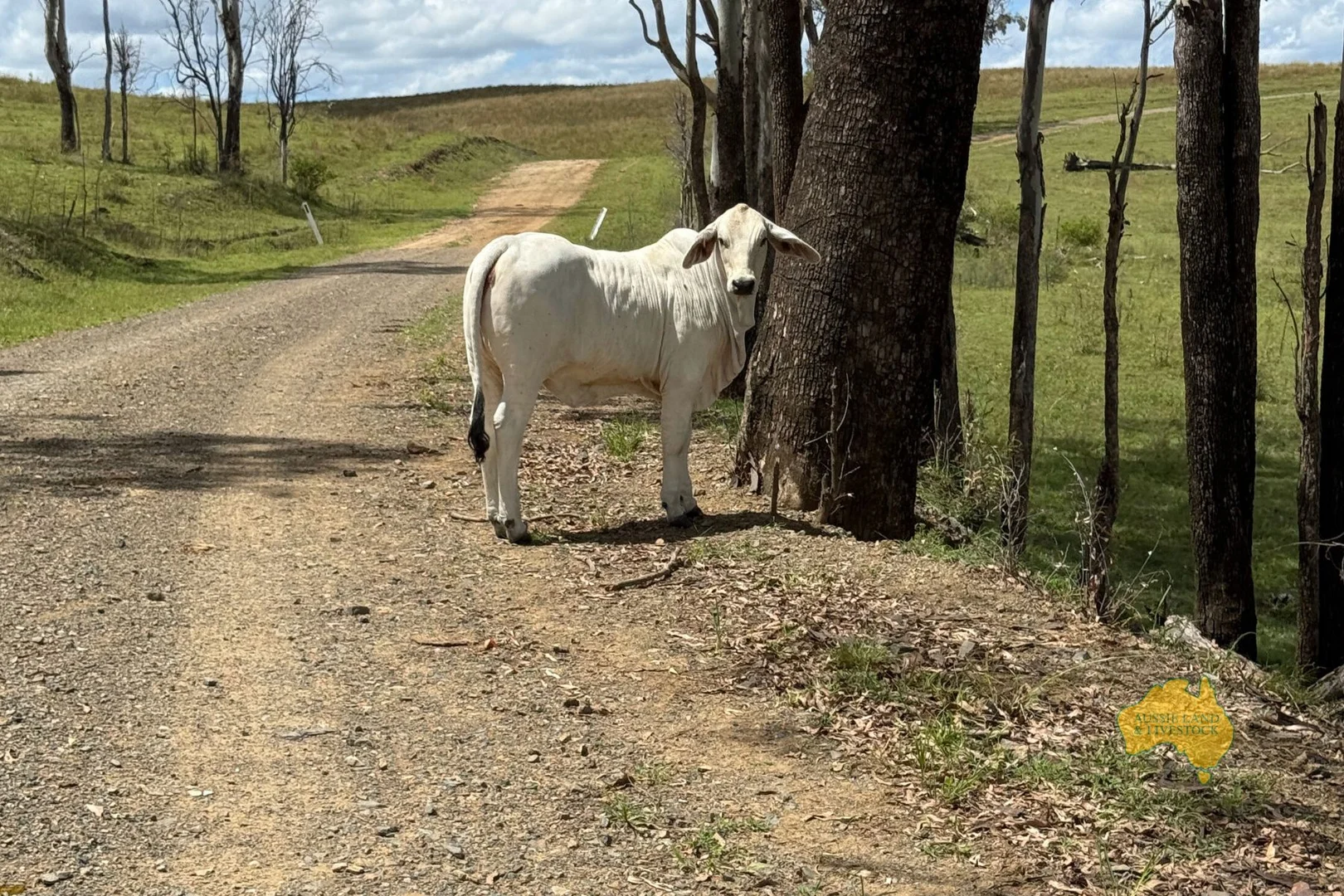 Additional image 16 of 527 KILLERS ROAD, New Moonta QLD 4671