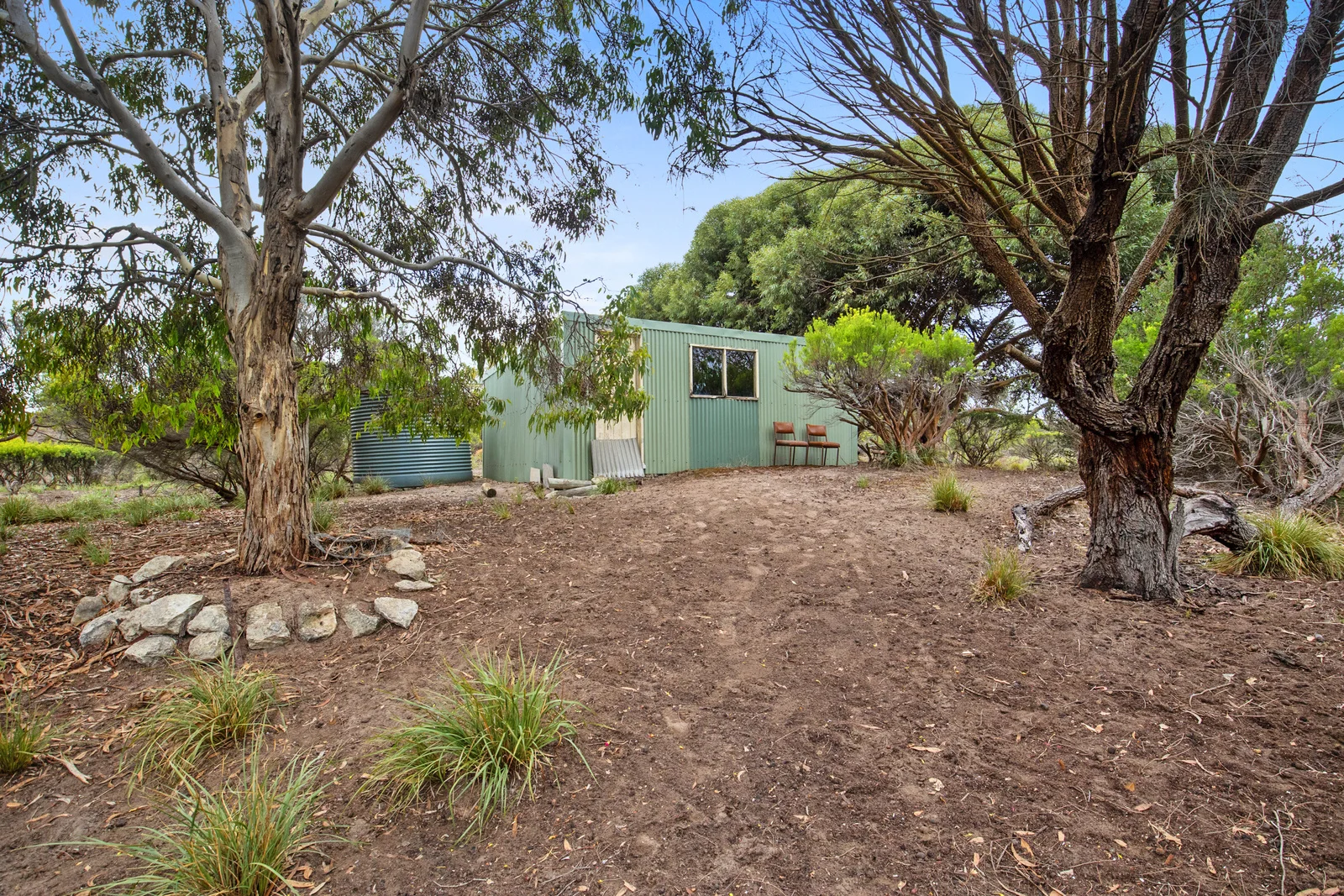Image 15