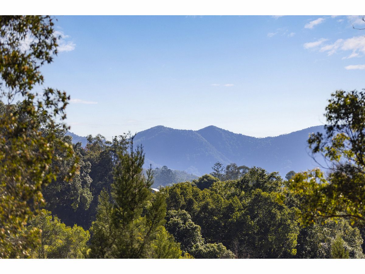 Lot 3/2 Evans Street, Bellingen NSW 2454, Image 2