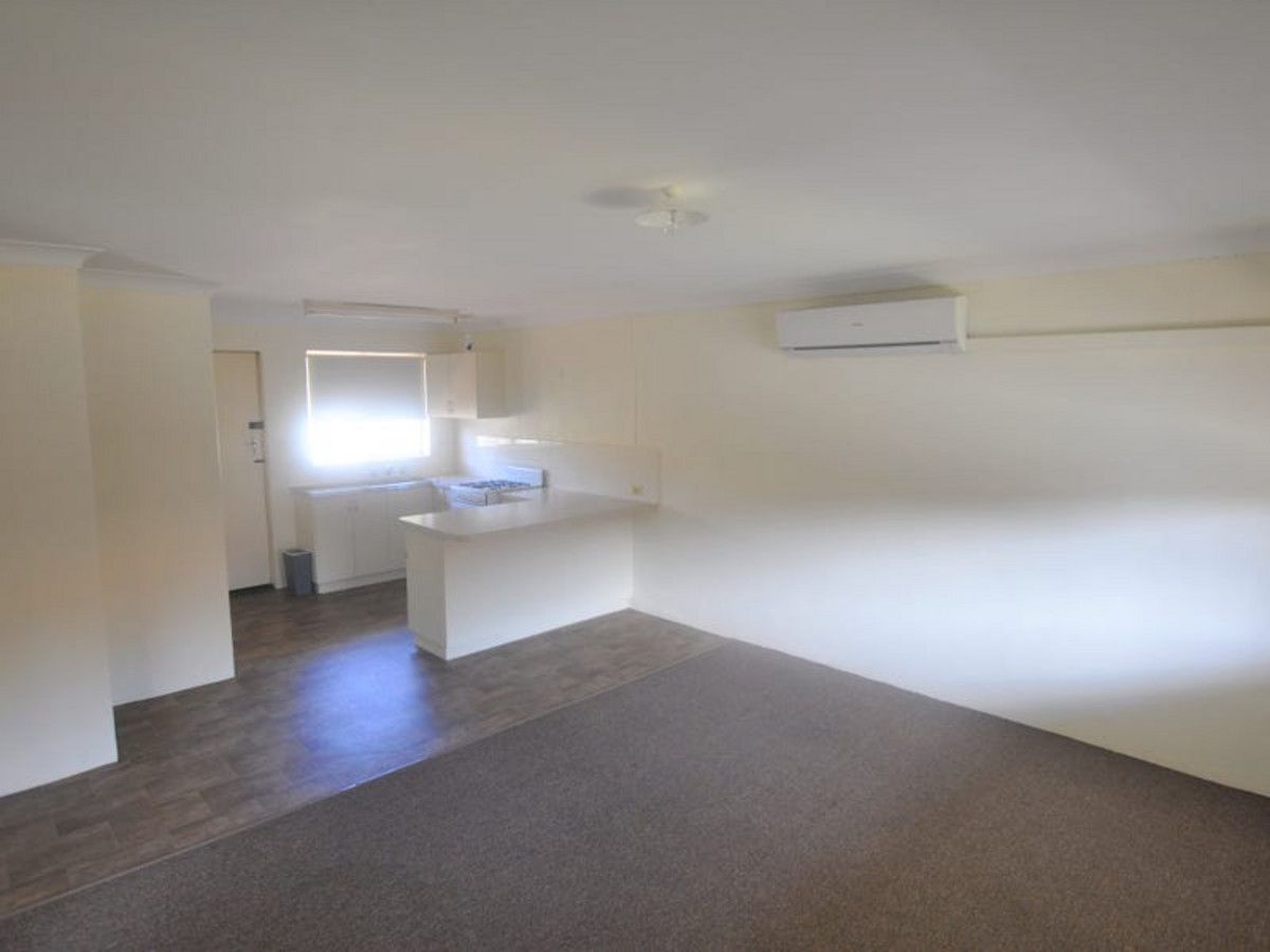 Unit 2/36 Collier Street, Manjimup WA 6258 Apartment For Rent Domain