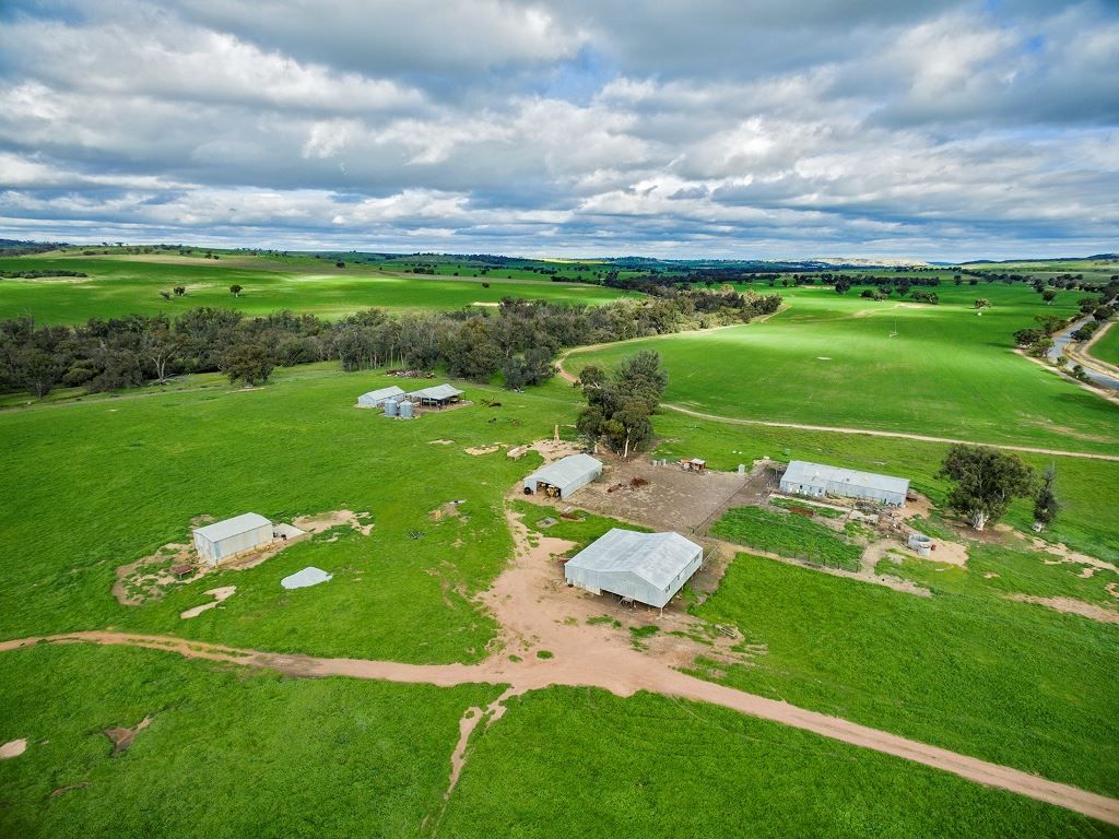 249 York-Williams Road, Beverley WA 6304, Image 1