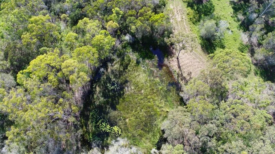 Additional image 26 of 1256 Tableland Road, Mount Maria QLD 4674