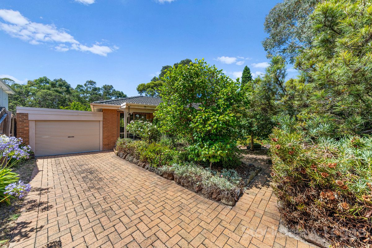 20 Elmstead Drive, Wheelers Hill Property