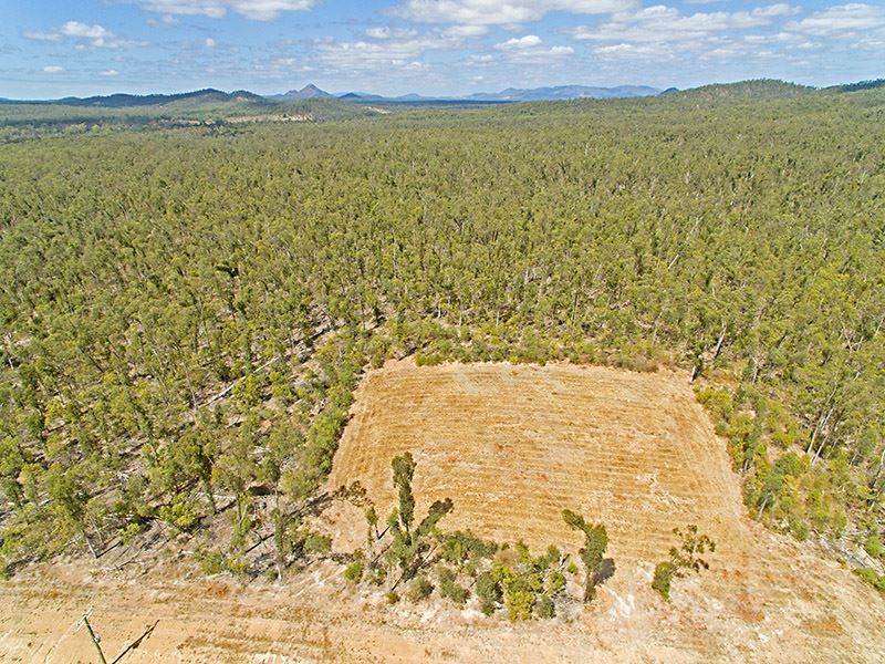 Lot 4 Eucalypt Glade, Barmaryee QLD 4703, Image 2