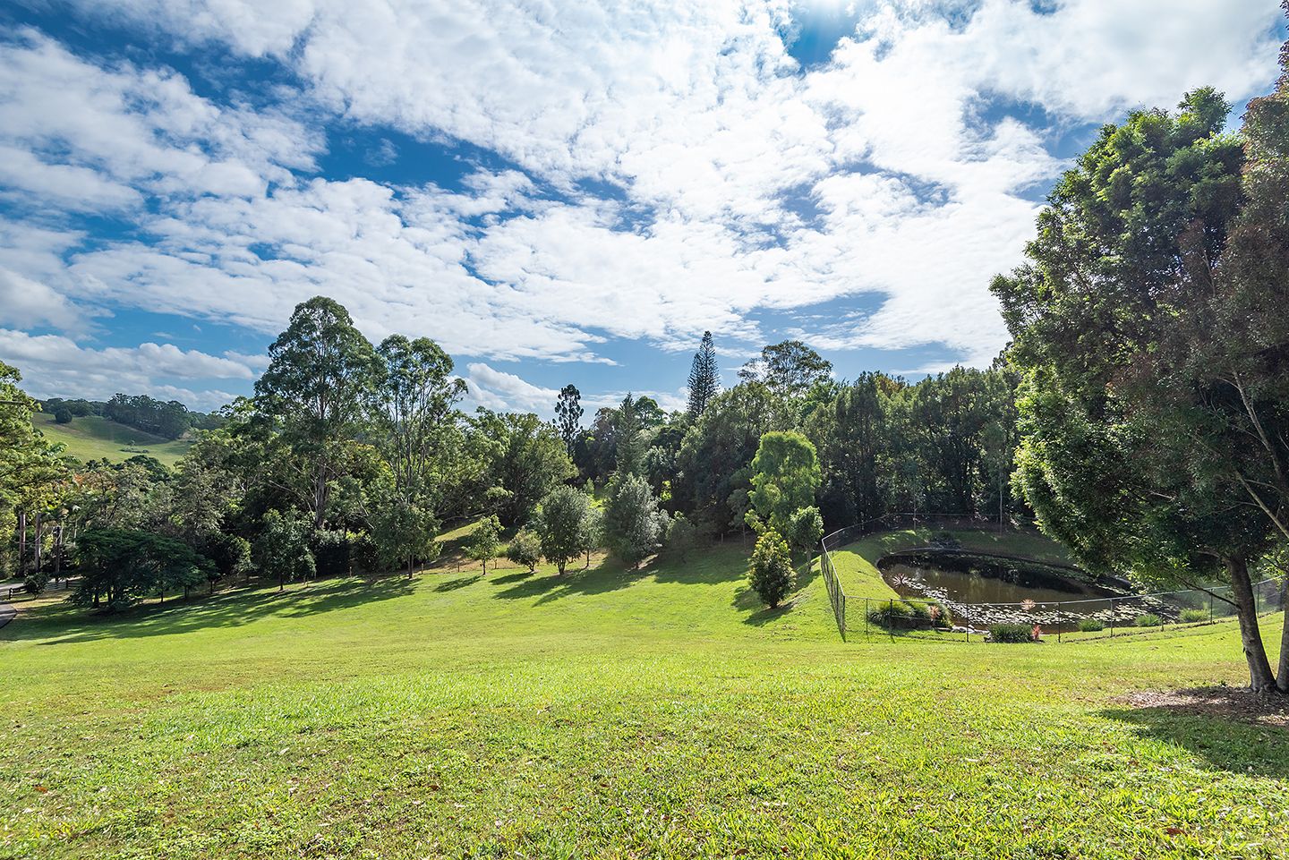 8 Springfield Circle, Cooroy QLD 4563, Image 2