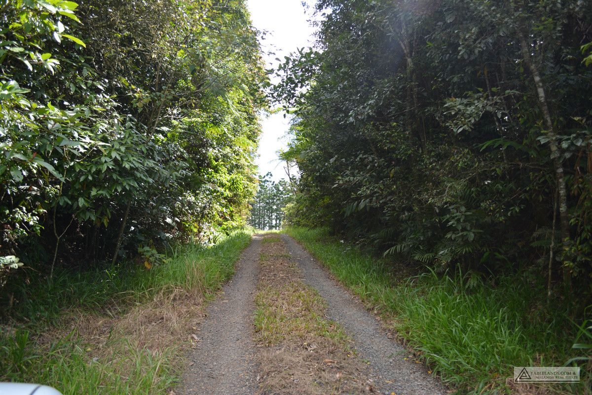 Millaa Millaa QLD 4886, Image 2