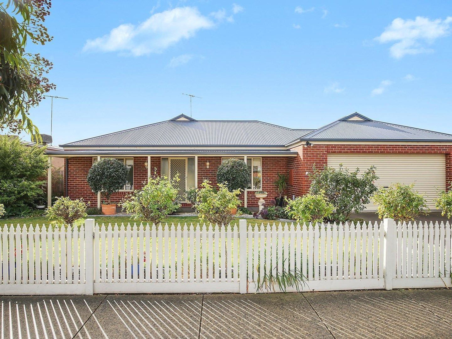 59 Smith Street, Grovedale VIC 3216, Image 0