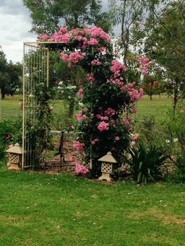 Additional image 36 of "Sprintway Farm" Warral Bithramere Rd, Tamworth NSW 2340