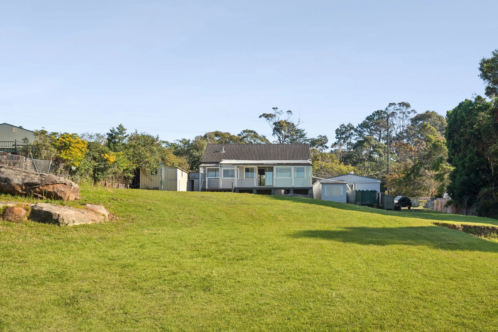 Image 7