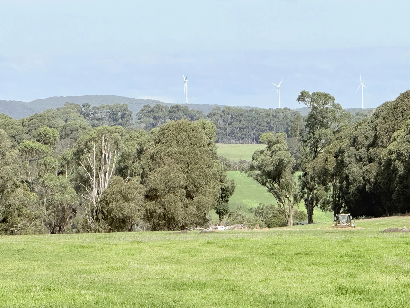 Image 12