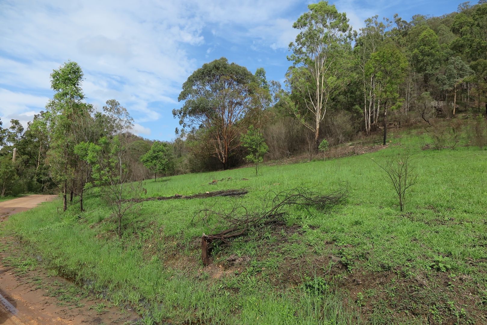 62 Kandeer Rd, Upper Macdonald NSW 2775, Image 2